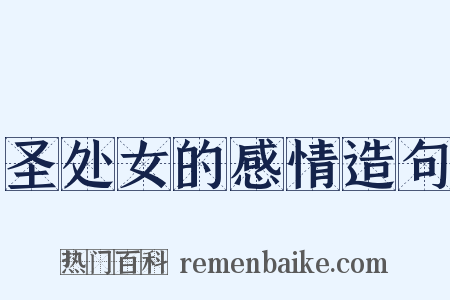 圣处女的感情造句是什么意思的图片